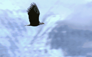 上海纳铁福传动系统有限公司 高动态强度试验专用设备（副机）国际招标澄清或变更公告(3)